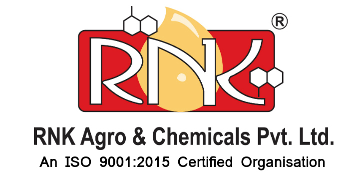 RNK Logo